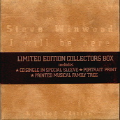Stevie Winwood - I Will Be Here